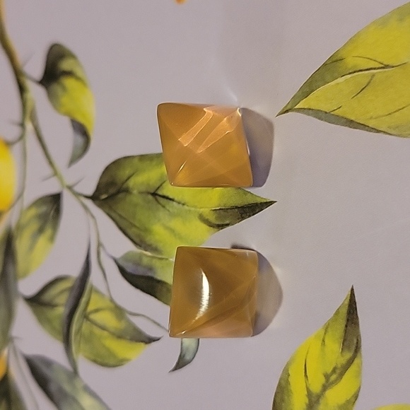 Alexis Bittar Cream Tan Lucite Earrings - Picture 1 of 8